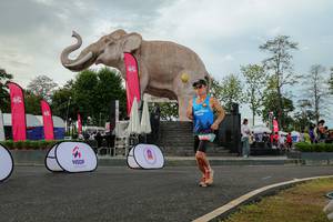 BIB: 
                            <button type="button" onclick="openModal(26528567)" class="btn btn-primary btn-sm float-right btn-popup" data-toggle="modal" data-target=".modal-high-quality">
                        <i class="fas fa-shopping-cart"></i> Add to Cart
                    </button>
                                            <button type="button" onclick="isThisMe(26528567, true)" class="btn btn-success btn-sm float-right btn-popup btn-isme hidden" data-toggle="tooltip" data-placement="bottom" title="นี่คือรูปของคุณใช่ไหม คลิกที่นี่เพื่อเอาเข้าอัลบั้ม">
                        <i class="fas fa-plus"></i> Add to album
                    </button>
                    <button type="button" onclick="isThisMe(26528567, false)" class="btn btn-warning btn-sm float-right btn-popup btn-isnotme hidden">
                        <i class="fas fa-ban"></i> Remove from album
                    </button>